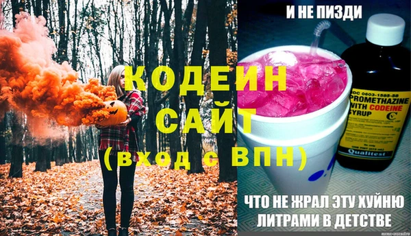 шишки Беломорск