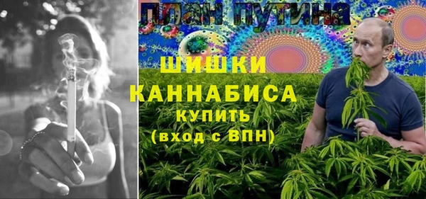 шишки Беломорск