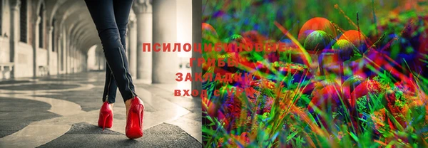 стафф Богородск